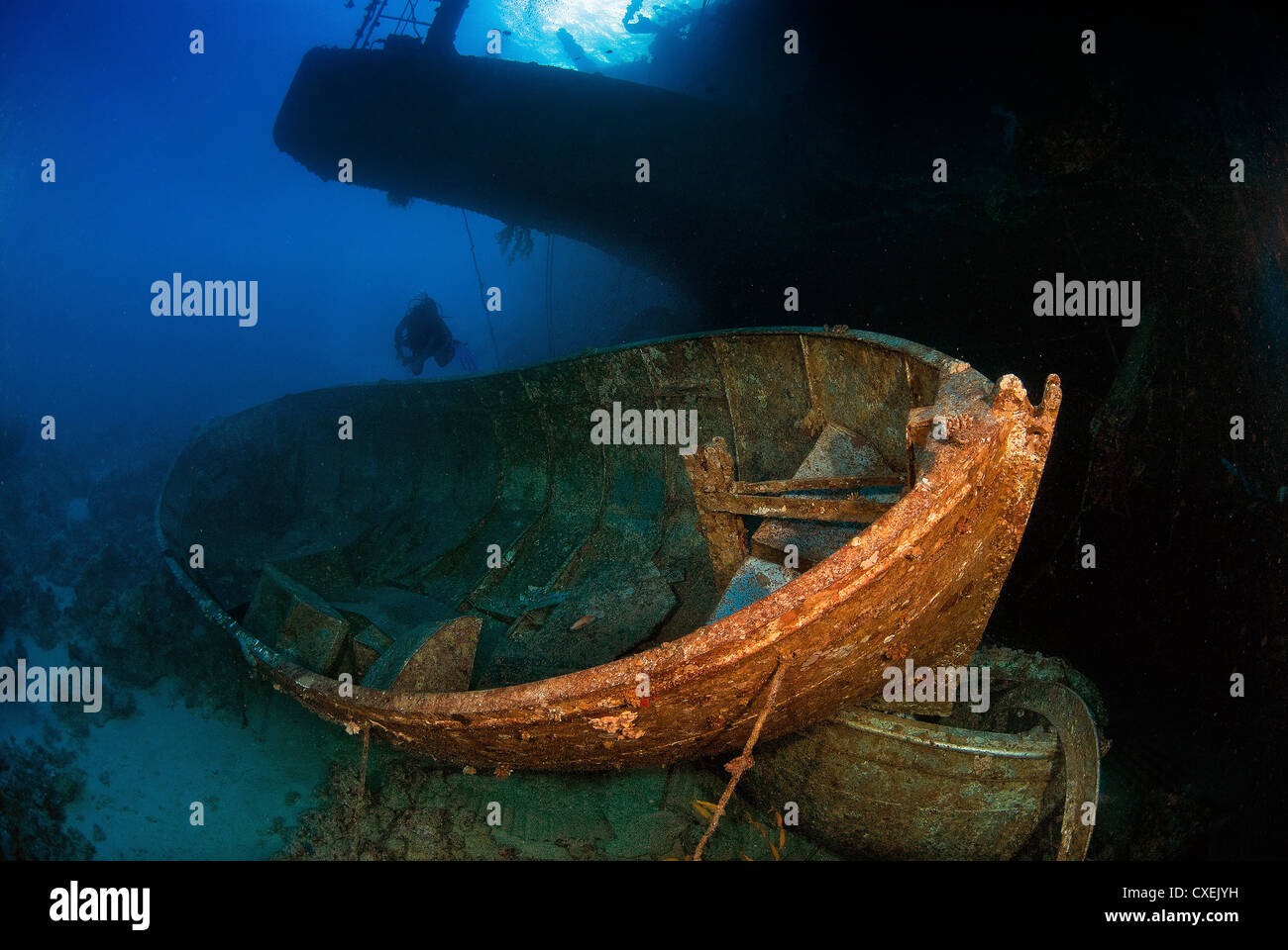 diver exploring wreck dive site Stock Photo