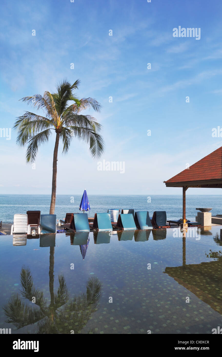 Palm tree and beach chairs Stock Photo Alamy