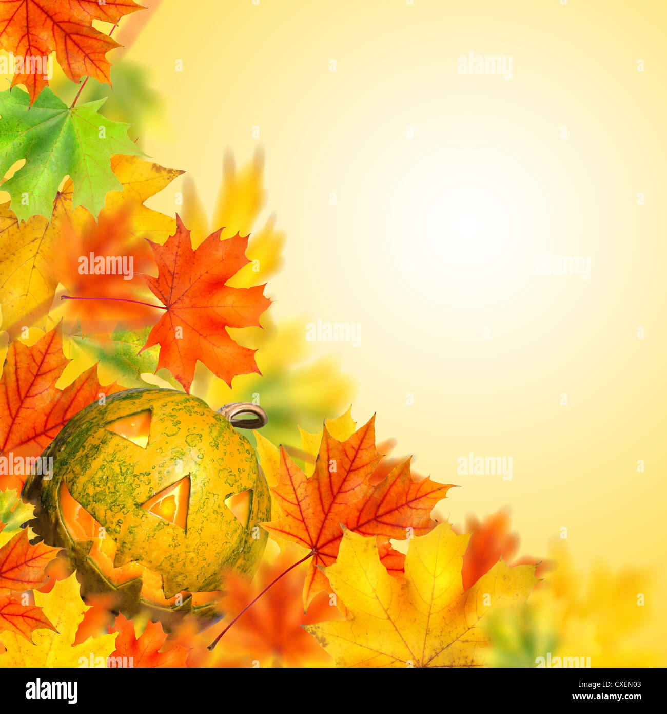 halloween pumpkin isolated on white Stock Photo - Alamy