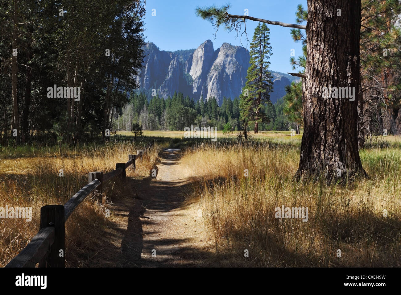 Lovely shady path in Yosemite Park Stock Photo