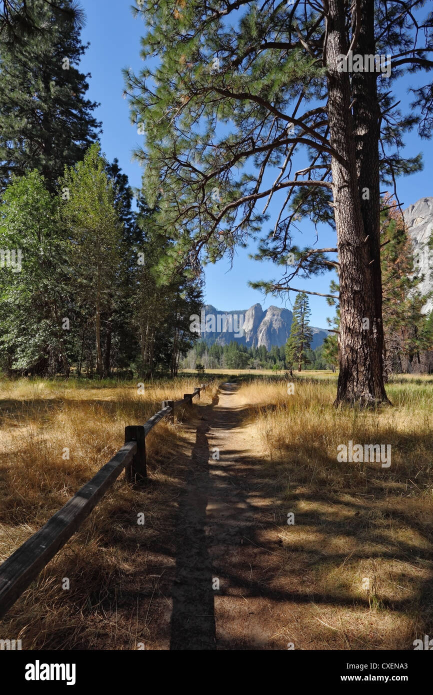 Lovely shady path in Yosemite Stock Photo