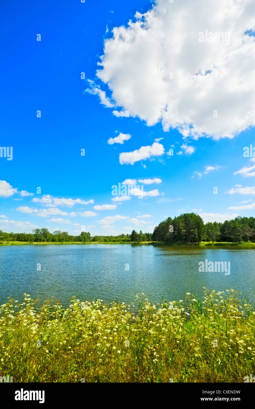 Summer forest nobody hi-res stock photography and images - Alamy