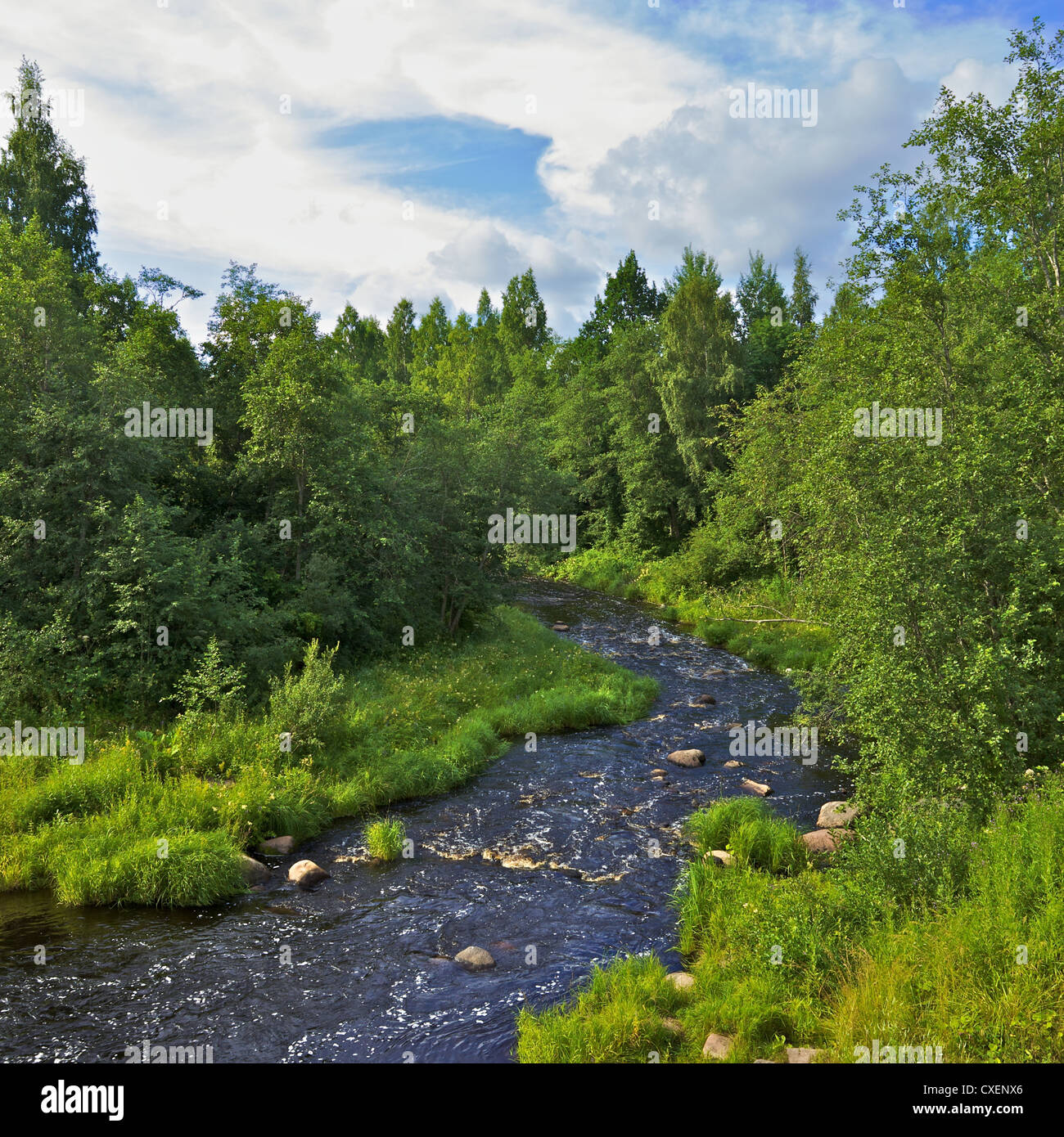 Tree flow stone rough hi-res stock photography and images - Alamy