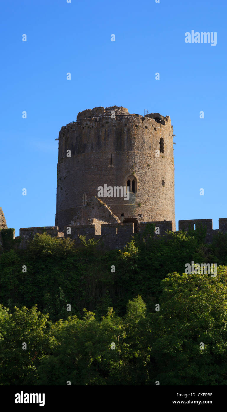 Pemroke Castle, Pembroke town Stock Photo - Alamy