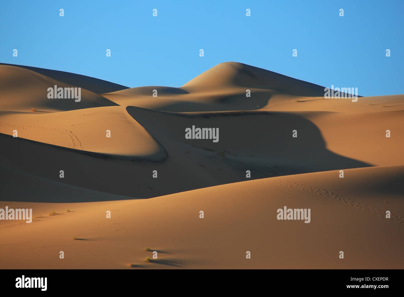 Cold shades Stock Photo - Alamy