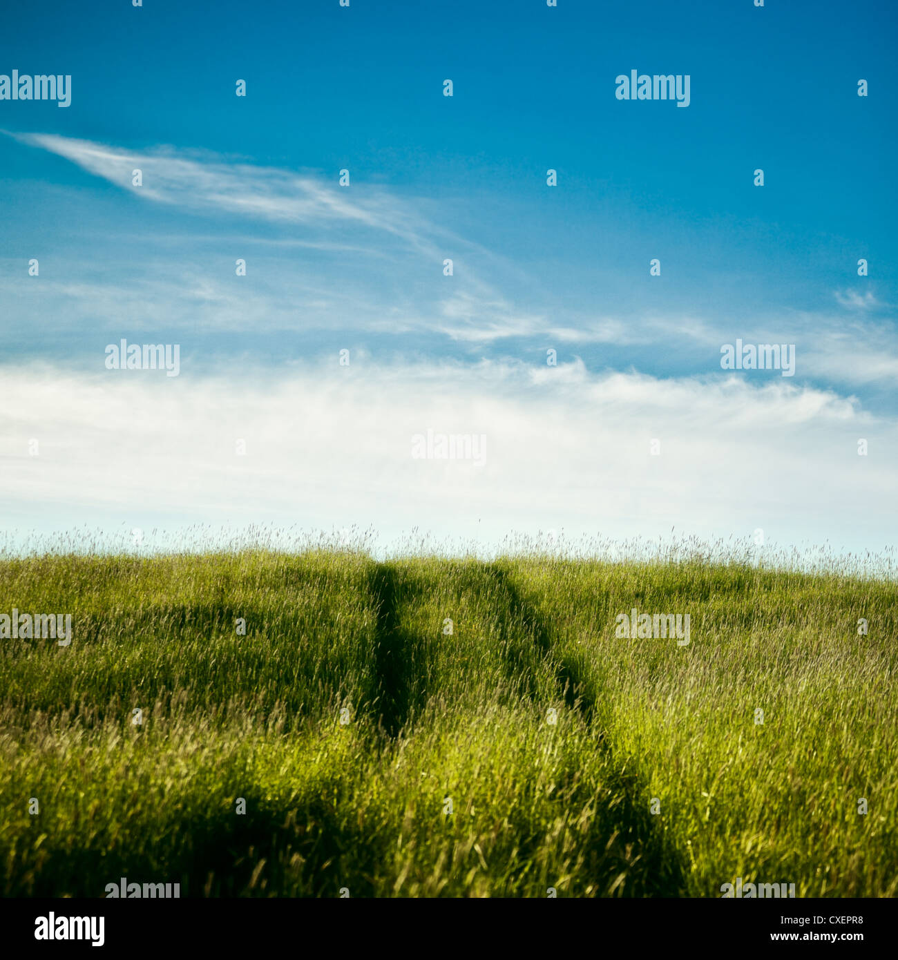 Field road hi-res stock photography and images - Alamy