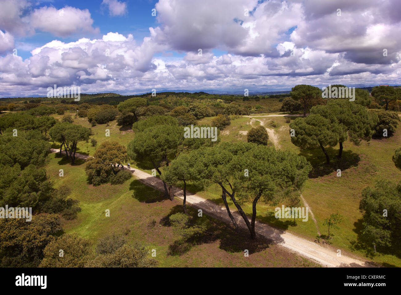 Huge park in Madrid Stock Photo