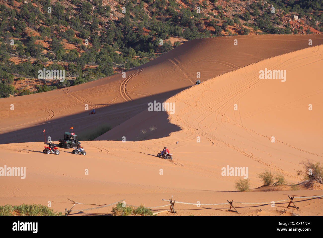Sports cars for sand dunes Stock Photo Alamy