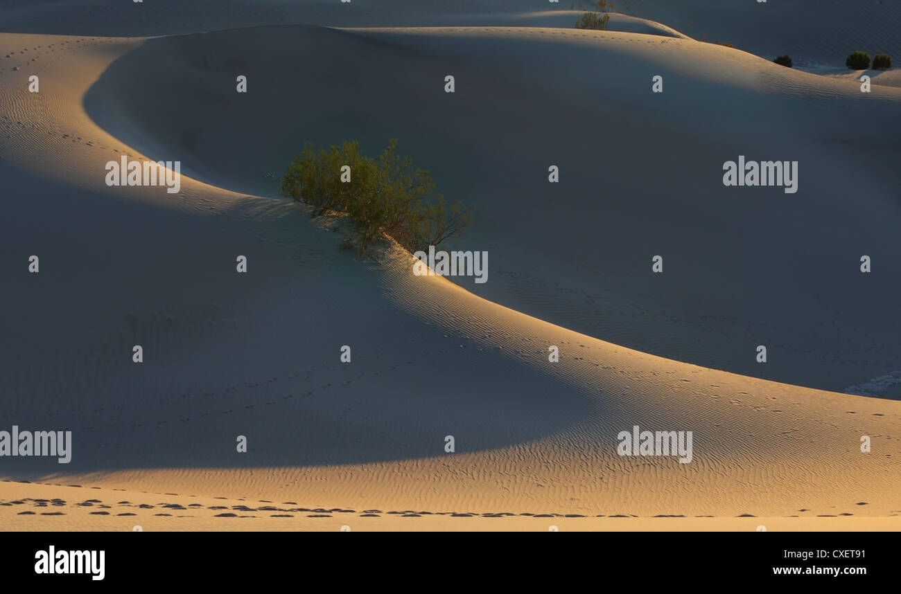 Fine contours of sand dunes Stock Photo