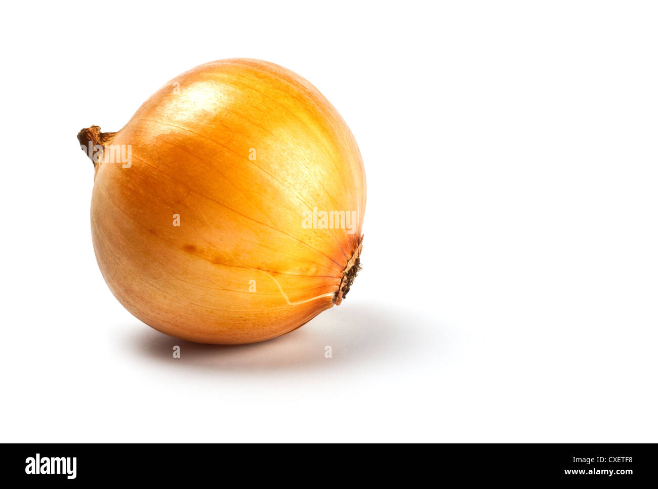 onion in peel Stock Photo