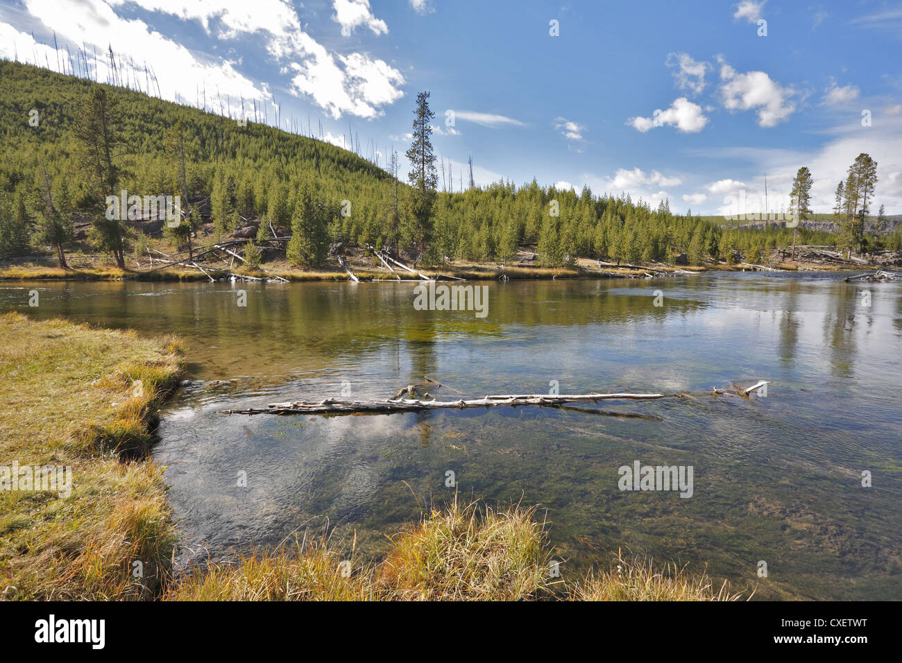Shallow river surface hi-res stock photography and images - Alamy
