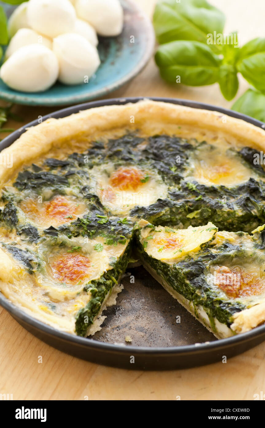 quiche iwth mozzarella and spinach Stock Photo Alamy