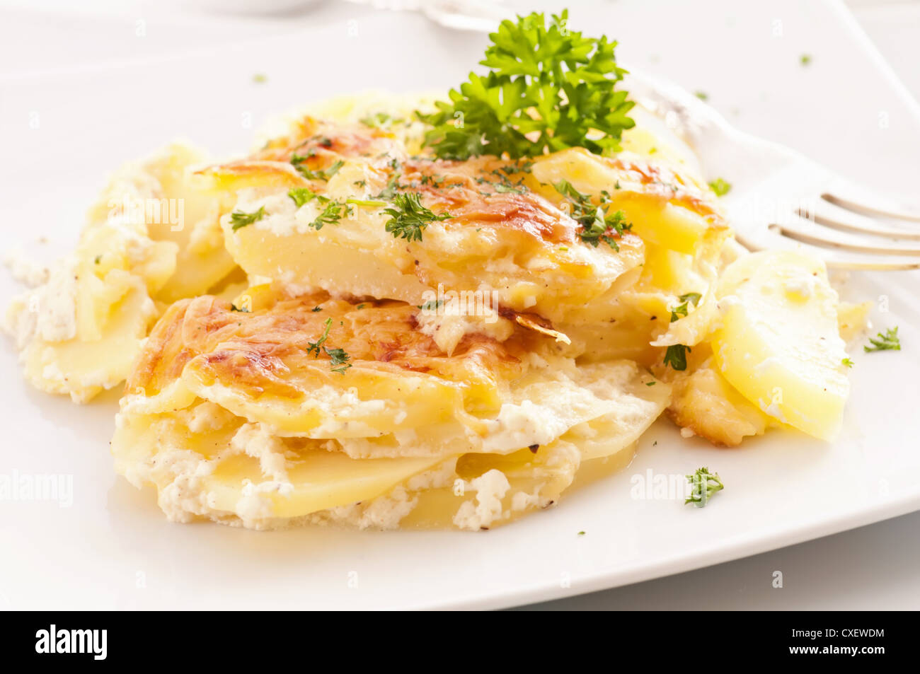 Potato gratin Stock Photo