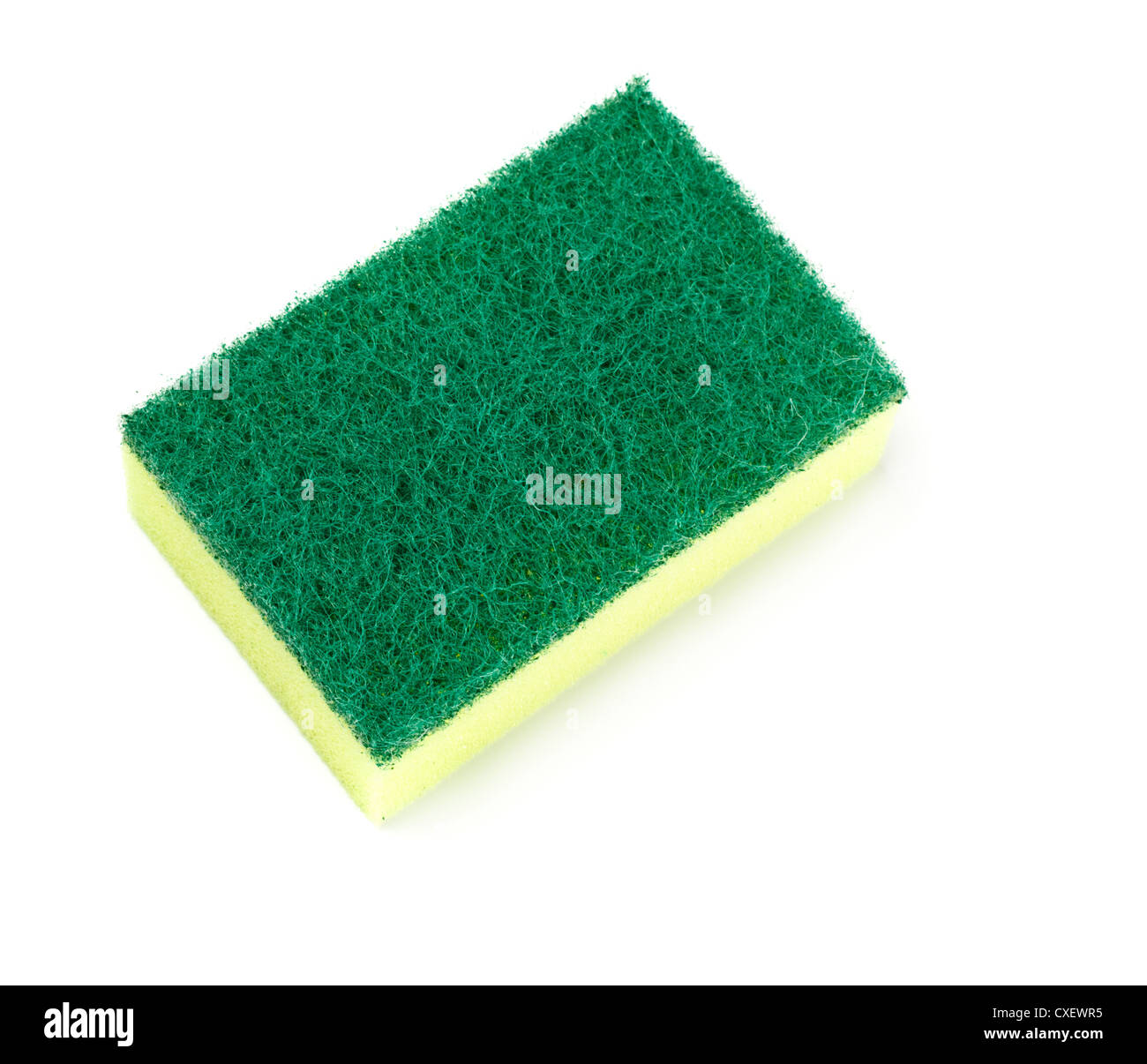 green and yellow sponge Stock Photo Alamy
