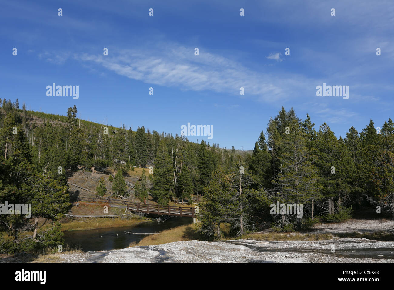Early autumn in the forests Stock Photo - Alamy