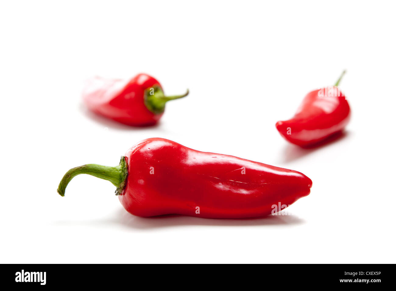 Red chili peppers on a white background Stock Photo - Alamy