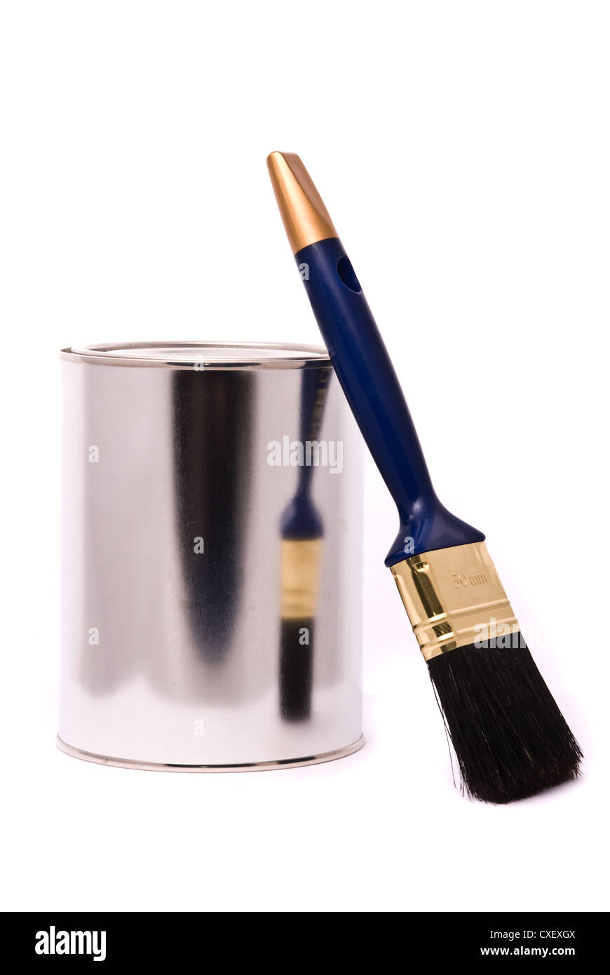 Can of paint and professional brush on a white. Stock Photo