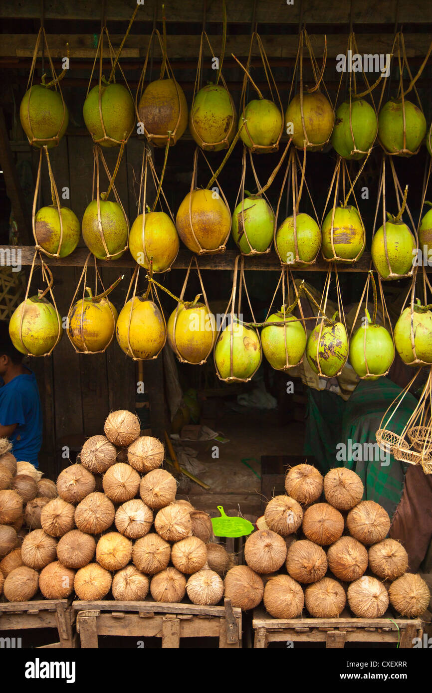 COCONUTS for sale at the CENTRAL MARKET in BAGO - MYANMAR Stock Photo