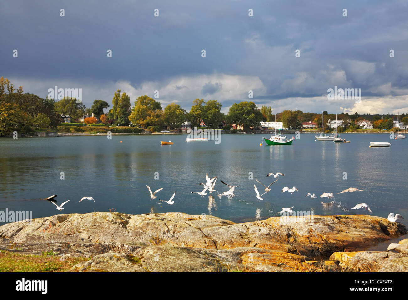 Seagulls fly above water of passage Stock Photo