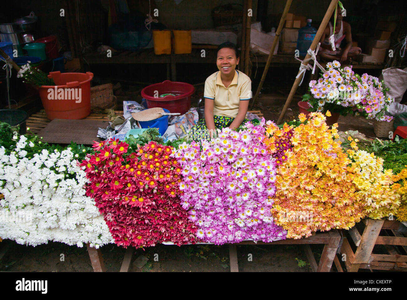 Flowers in myanmar hires stock photography and images Alamy