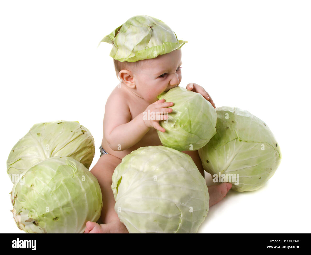 Tot plays with cabbage Stock Photo