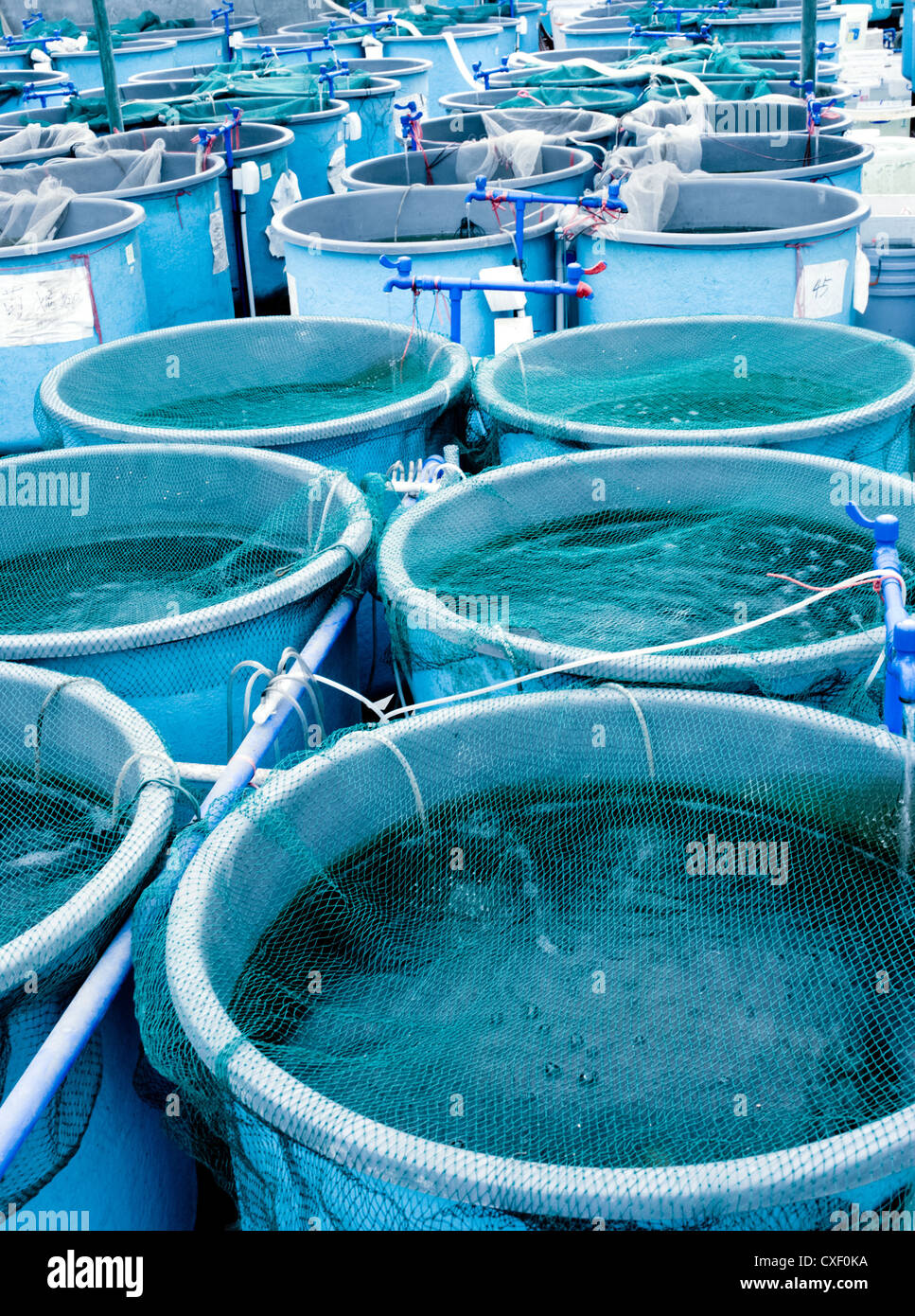 Agriculture aquaculture farm Stock Photo 50731614 Alamy