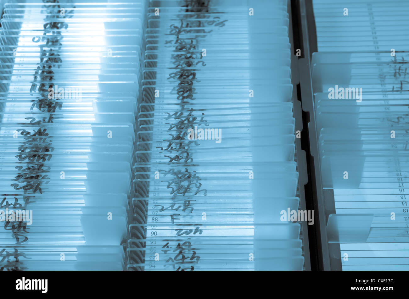 glass microscope slide Stock Photo Alamy