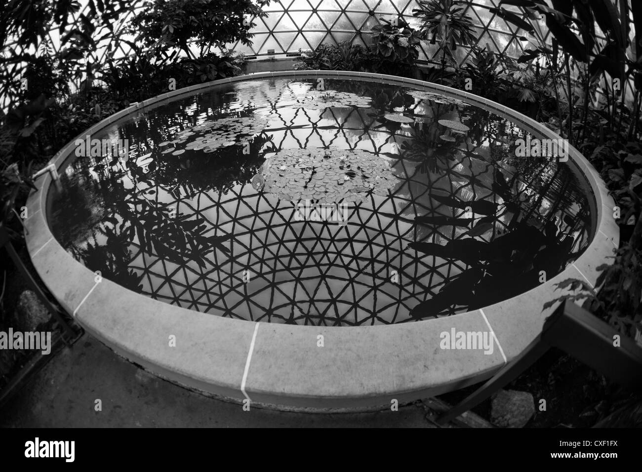 Geodesic dome greenhouse Black and White Stock Photos & Images - Alamy