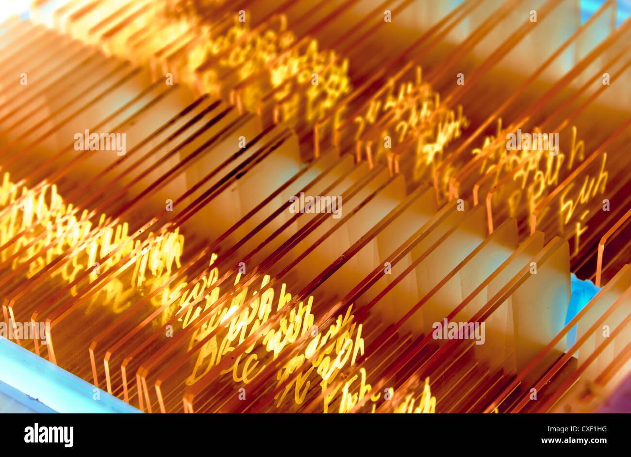 glass microscope slide Stock Photo Alamy