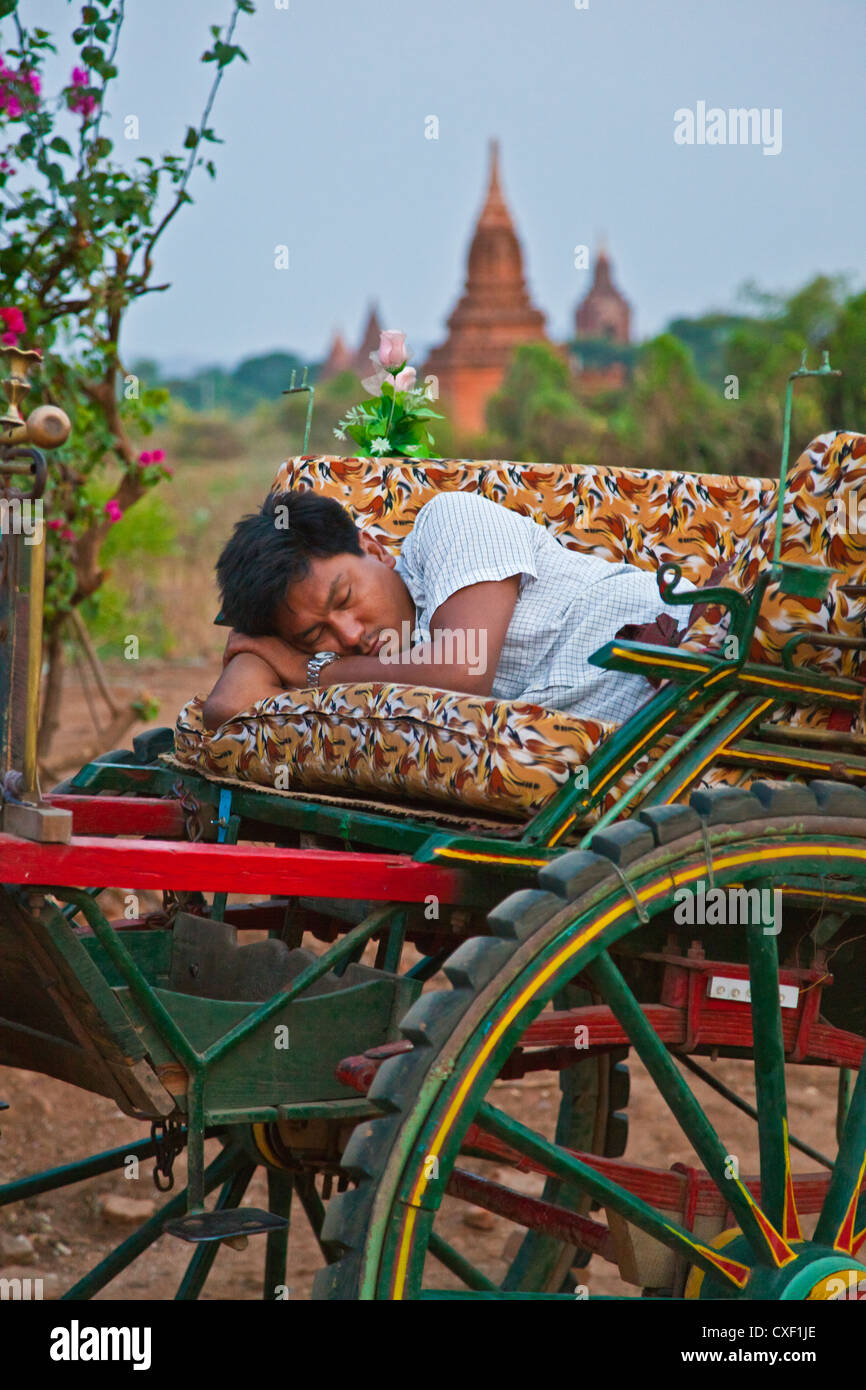 A cart driver takes a rest during a dawn mission - BAGAN, MYANMAR Stock ...