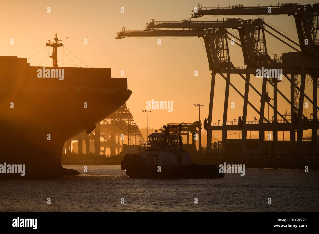 Tugboat and container ship of port of Oakland Stock Photo