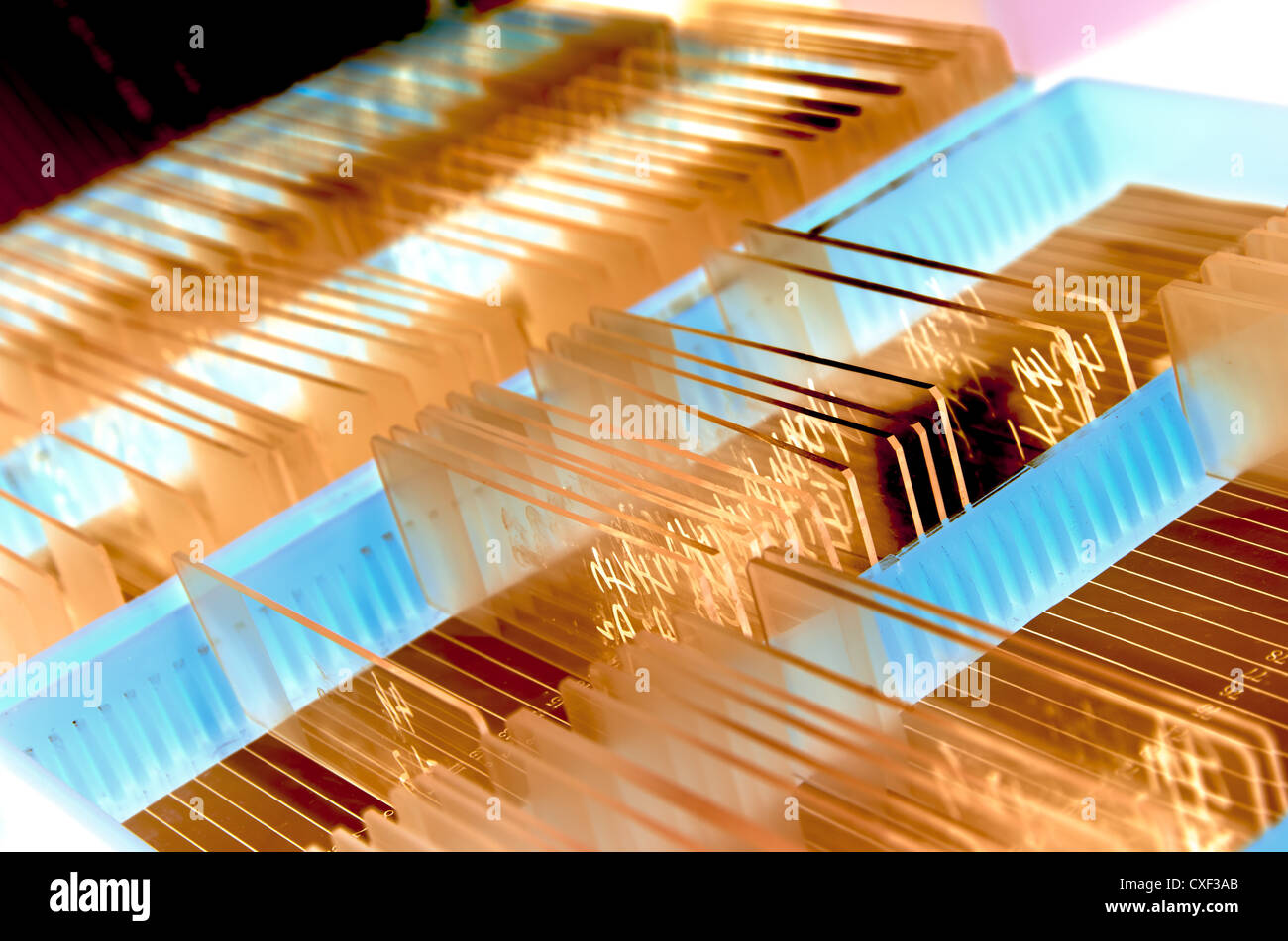 glass microscope slide Stock Photo Alamy