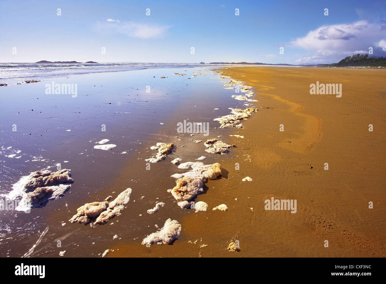 Beach foam sea hi-res stock photography and images - Alamy