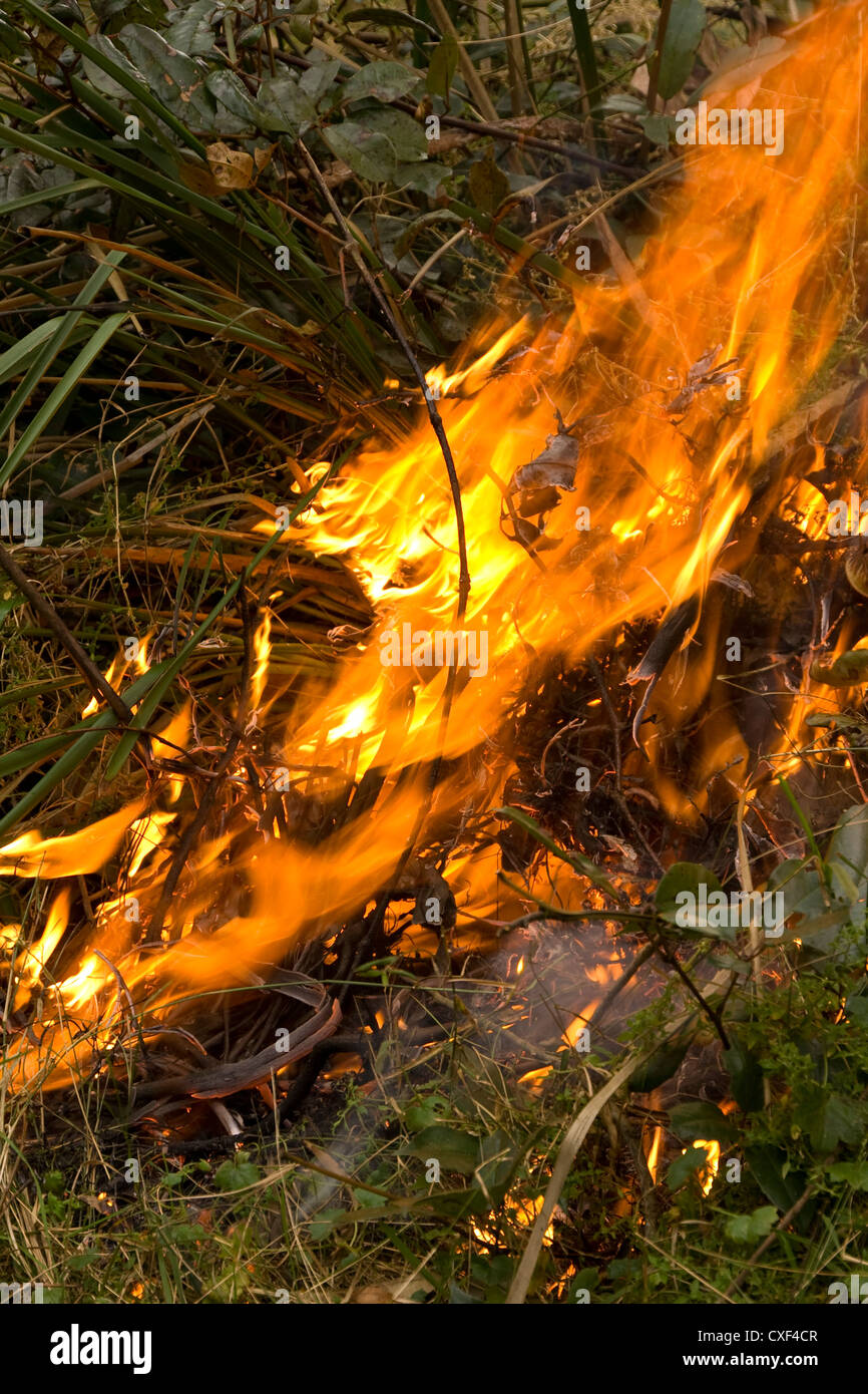 A Bush Fire In The Blue Mountains Stock Photo Alamy A Bush Fire In The Blue Mountains Stock Photo Alamy