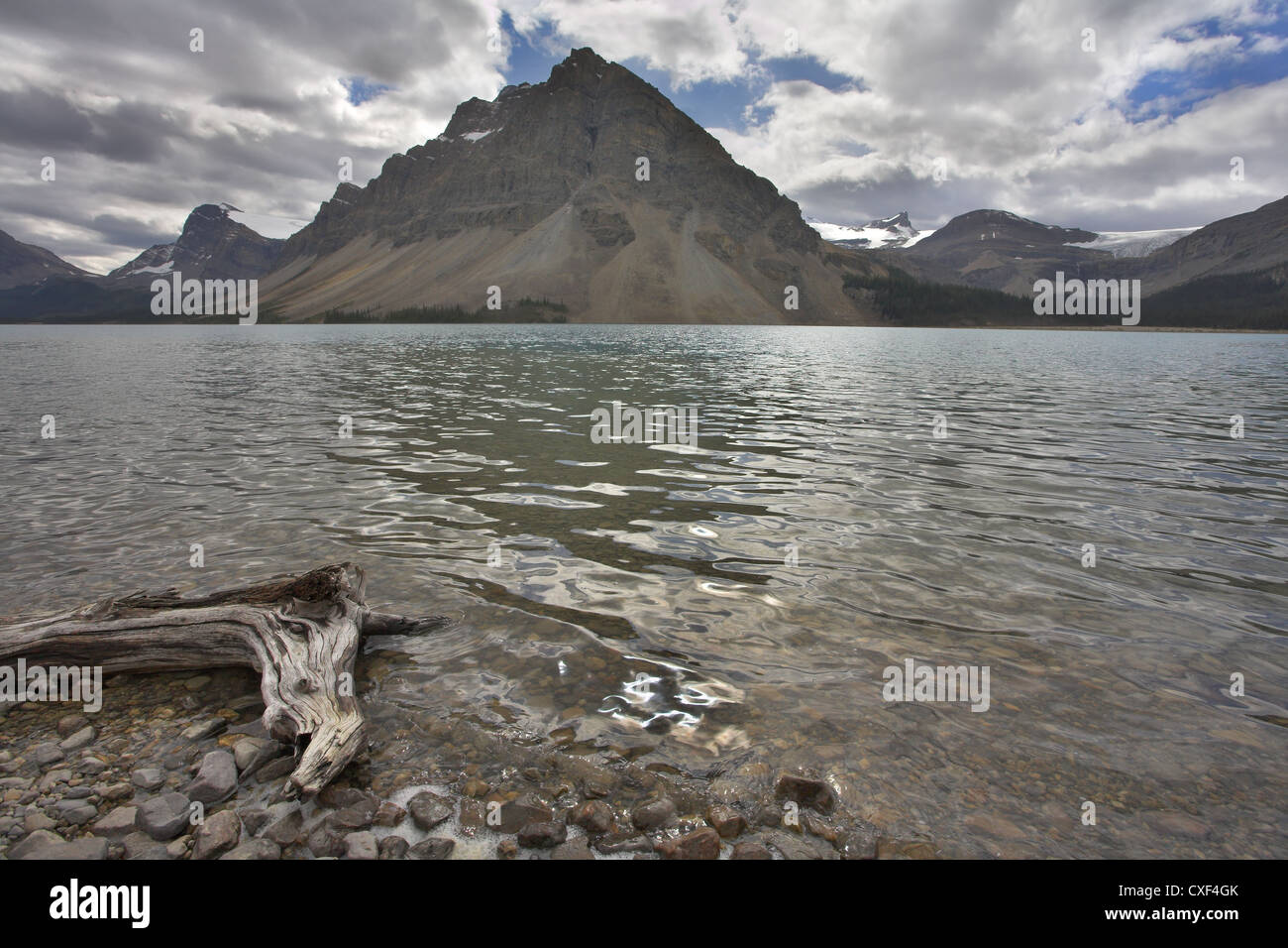 Snag, canada cold hi-res stock photography and images - Alamy