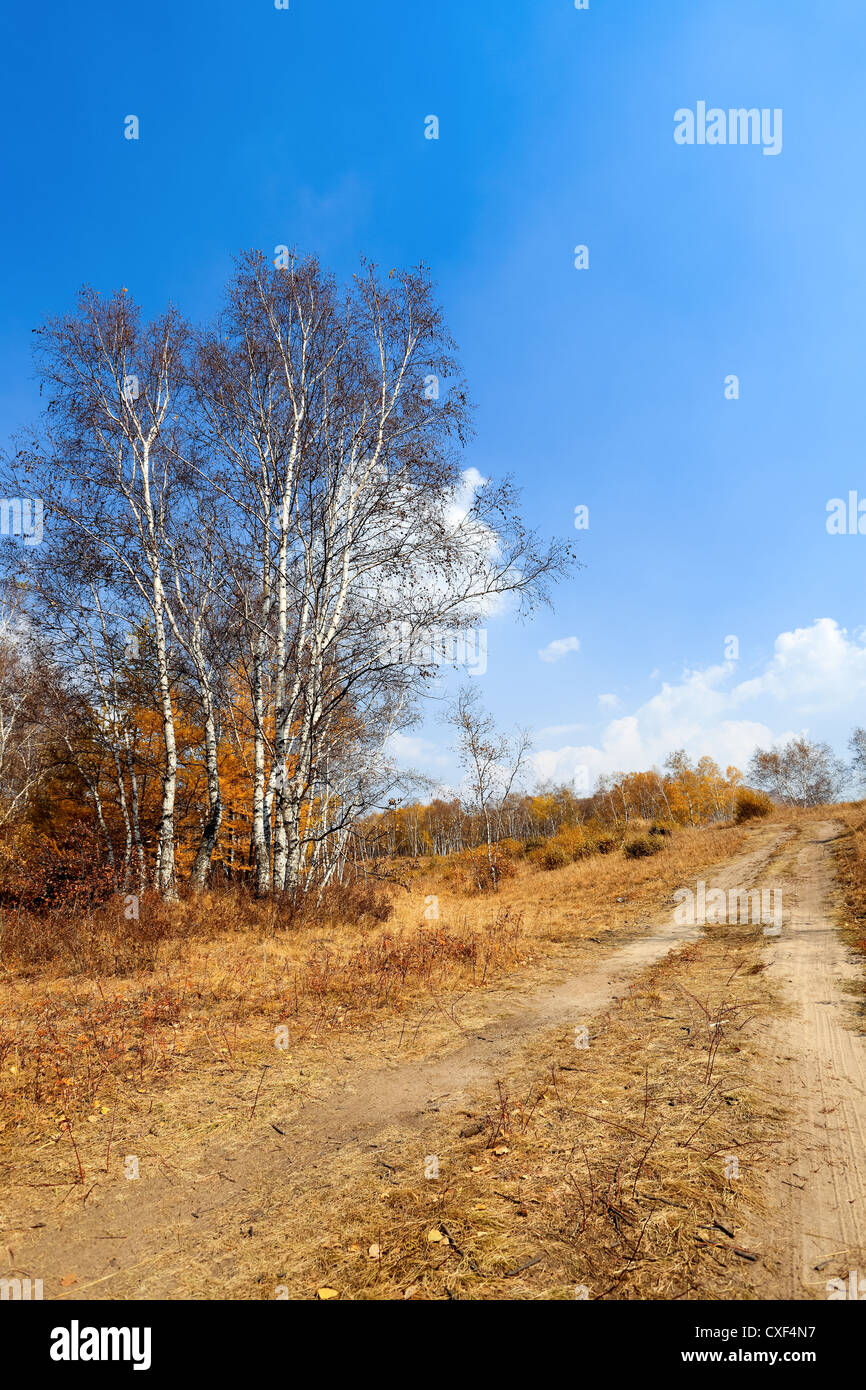 a dirt road in grassland Stock Photo