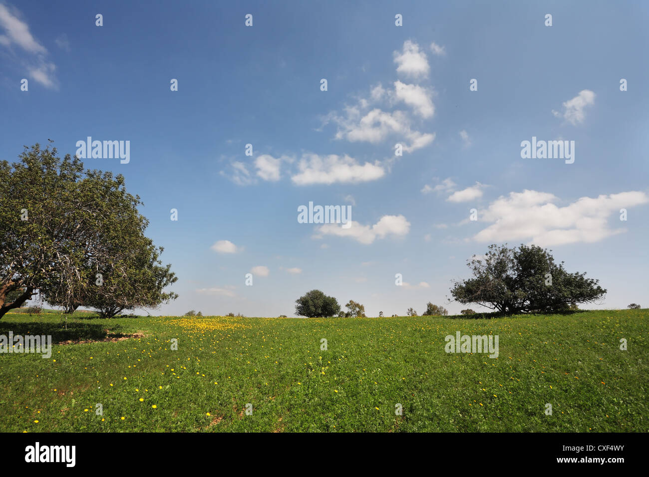 Wonderful serene spring day Stock Photo