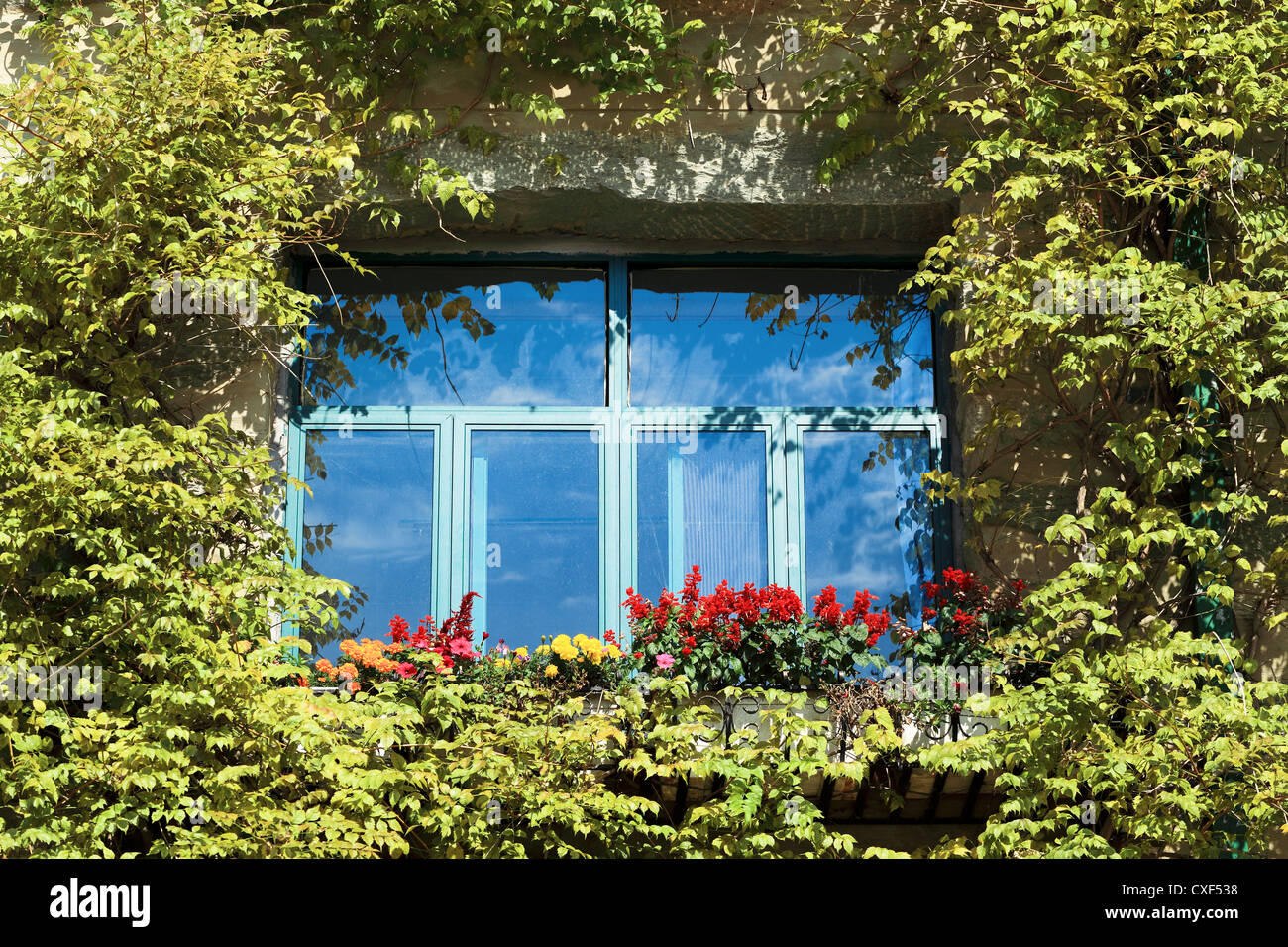 Creeper clad hires stock photography and images Alamy