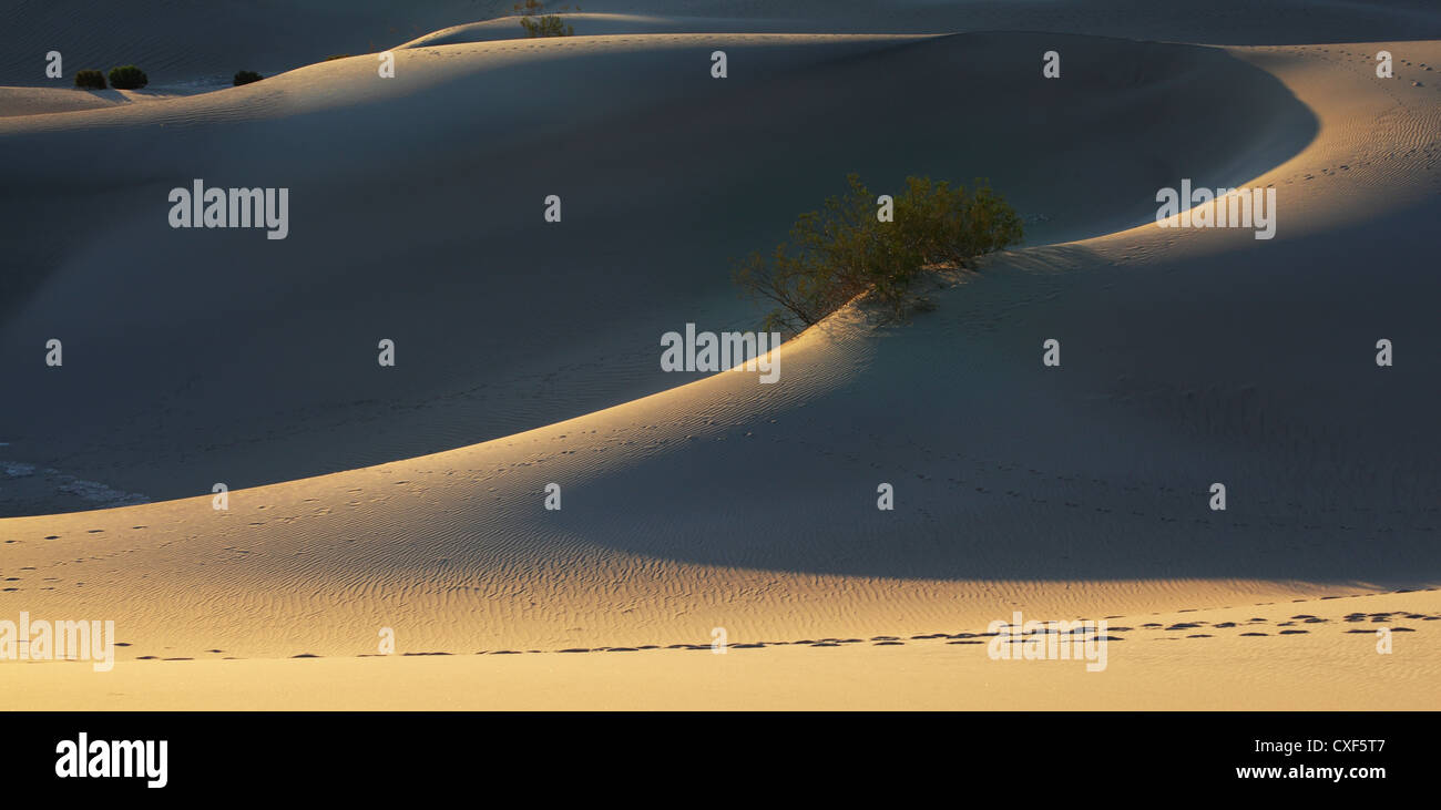 Fine smooth contours of sand dunes Stock Photo
