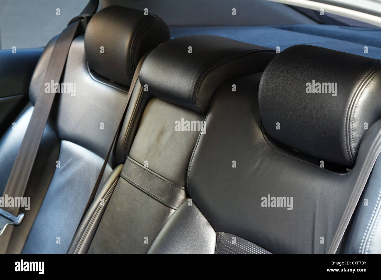 Leather back car seats with active headrest Stock Photo