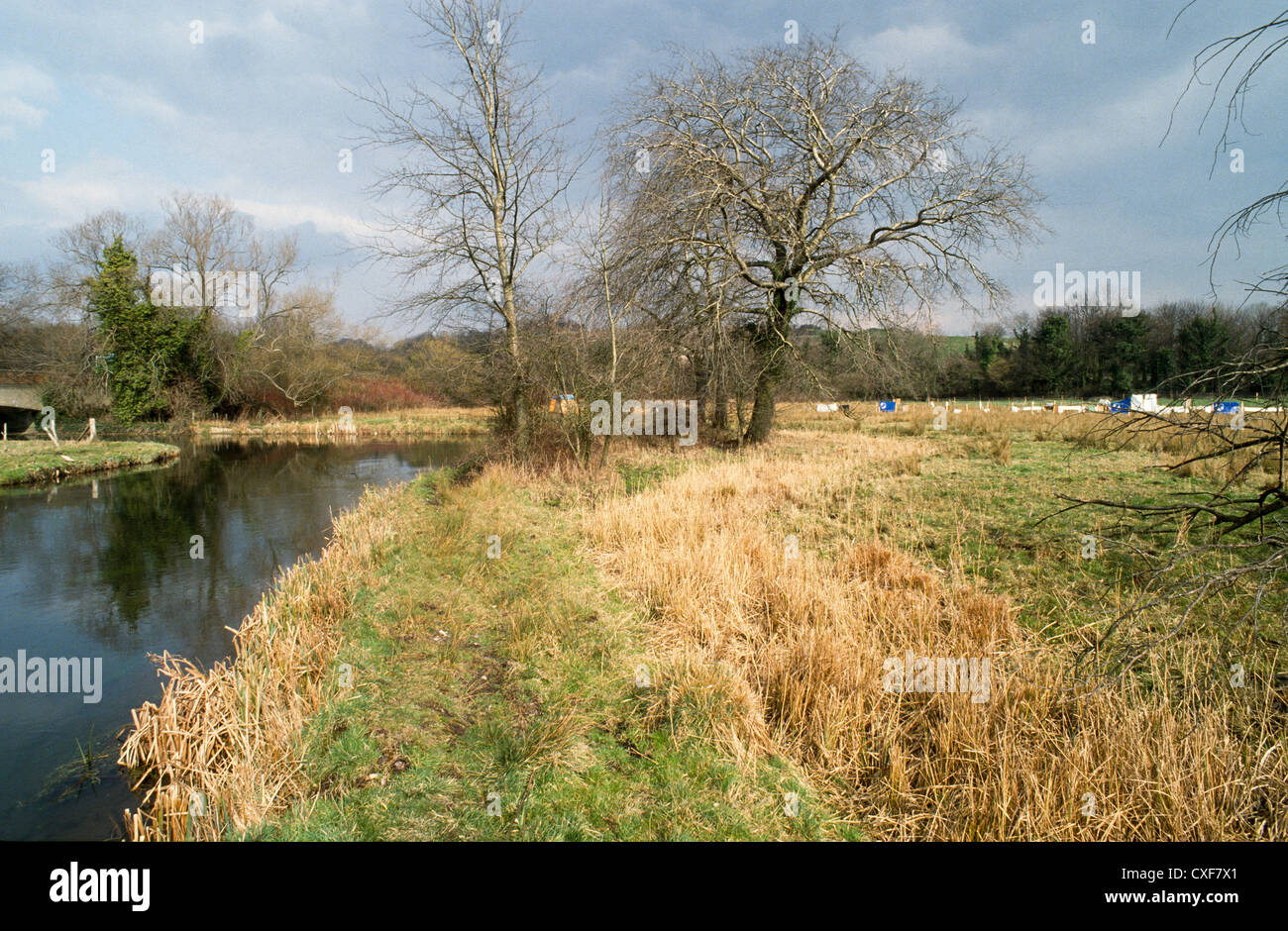 Watermeadow and  chalk stream on the site of the proposed M3 extension Stock Photo