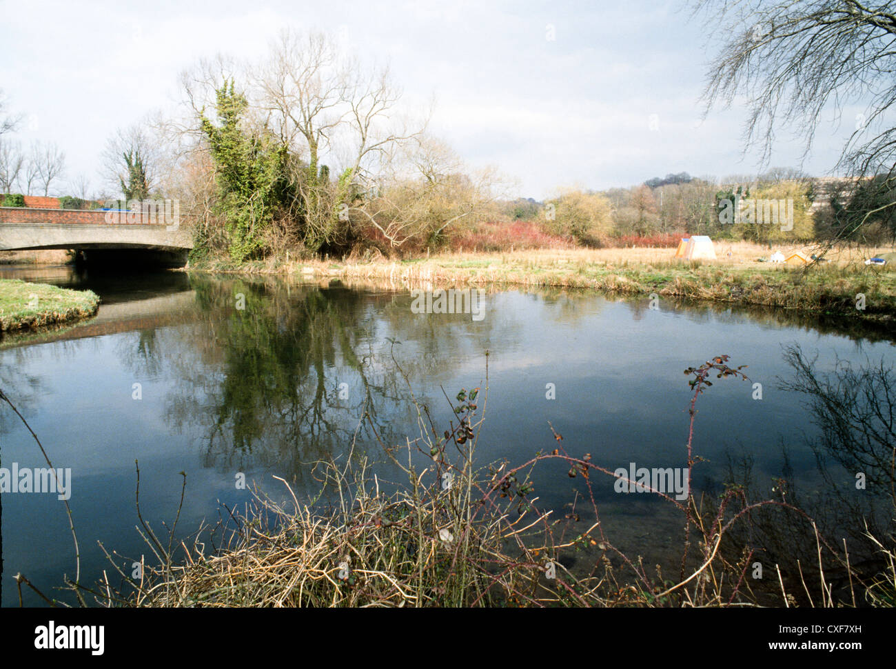 The site of the protest camp at Twyford down Stock Photo - Alamy