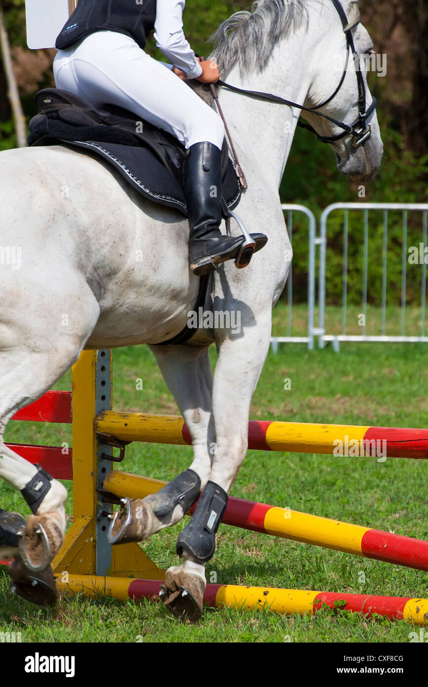 Horse Jumping Over Fence High Resolution Stock Photography and Images