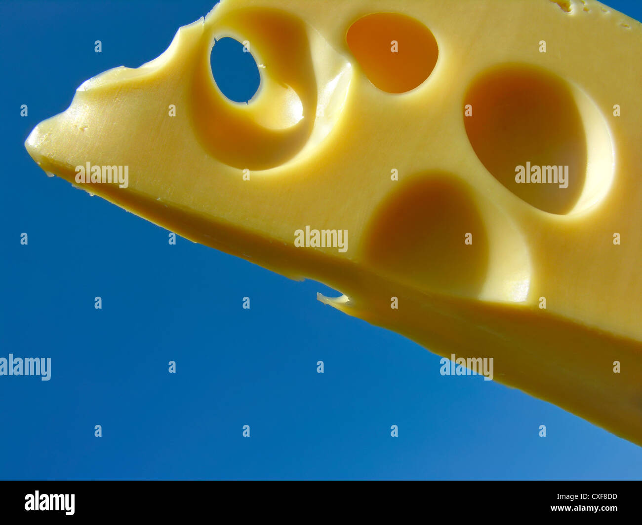 Cholesterol attack. Conceptual image of cheese on blue sky background