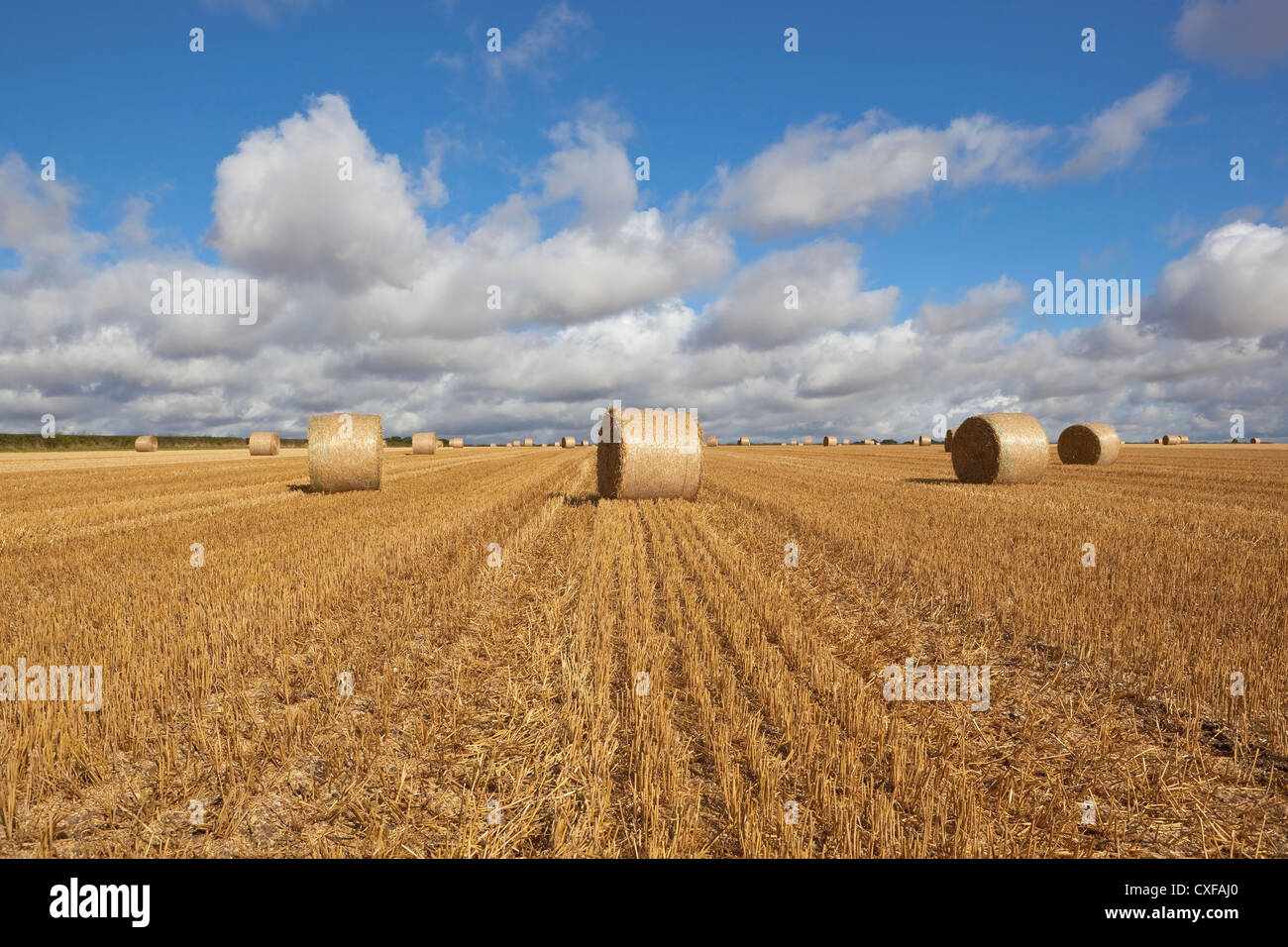 Layered clouds in a blue sky over round straw bales in a stubble field ...