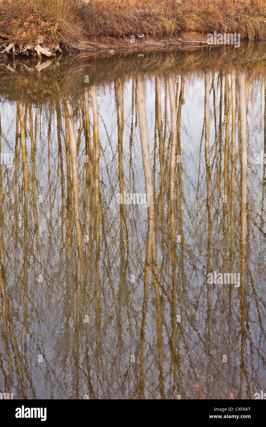 Bright reflecting hi-res stock photography and images - Alamy