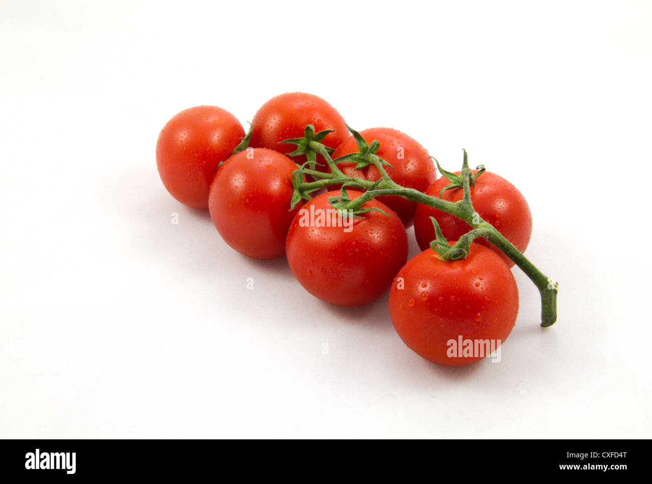 Vine tomatoes close up Stock Photo Alamy