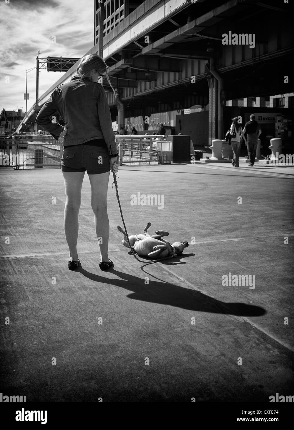 Black and white photo of girl with little dog that lies on his back in the middle of the street Stock Photo