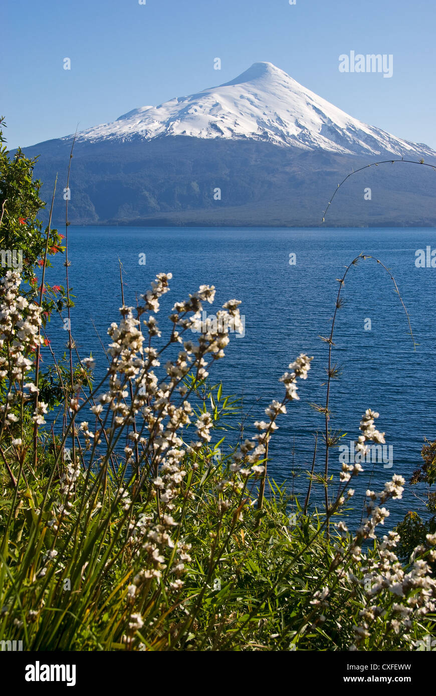 Elk198-3521v Chile, Lago Llanquihue, Volcan Osorno volcano Stock Photo