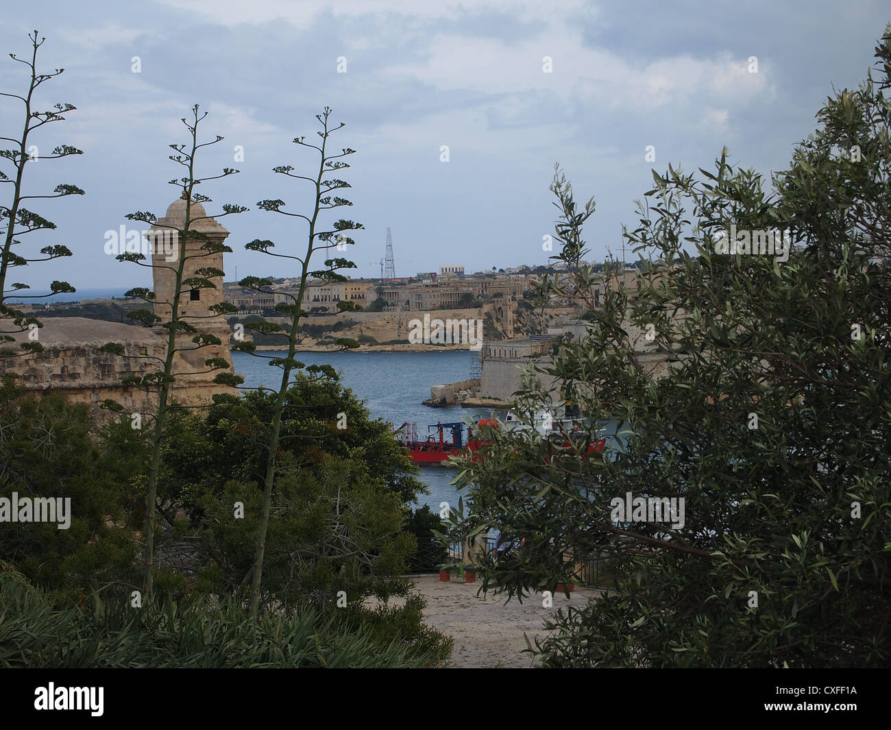 Trees at Valletta port Stock Photo - Alamy
